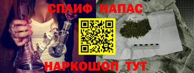 индика Беслан