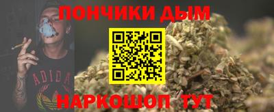 индика Беслан