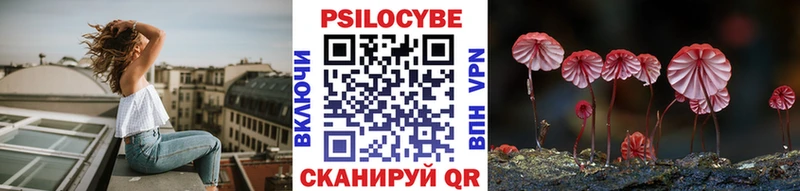 закладки  Великие Луки  Псилоцибиновые грибы ЛСД 