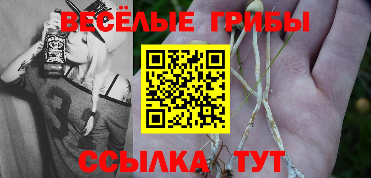 Псилоцибиновые грибы GOLDEN TEACHER  Вход с VPN  наркотики  Великие Луки 
