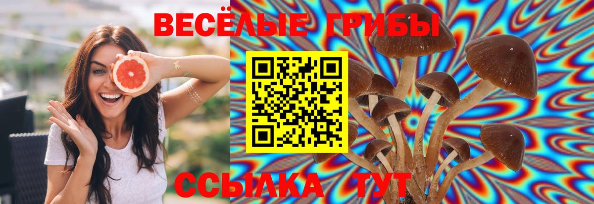 Псилоцибиновые грибы GOLDEN TEACHER Великие Луки